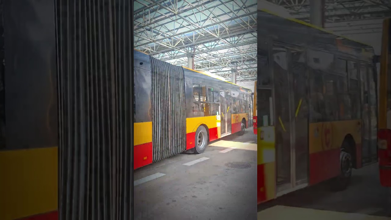 Daily 290 | pozdro dla towarzyszy @precl_mkm @olibloxia73 @Transport_Krem&oacute;wki7845