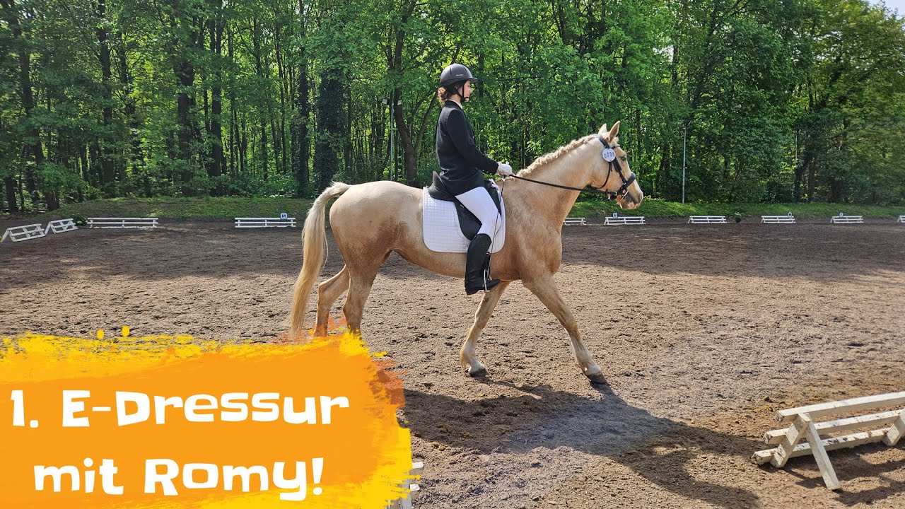 Unser erstes Turnier! - E-Dressur mit dem Kaninchen! (Aufgabe RE 1/2) 🐴