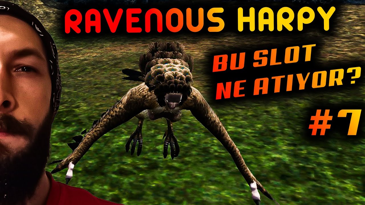 DEATH VALLEY RAVENOUS HARPY | Rise Online Farm | BU SLOT NE ATIYOR? #7