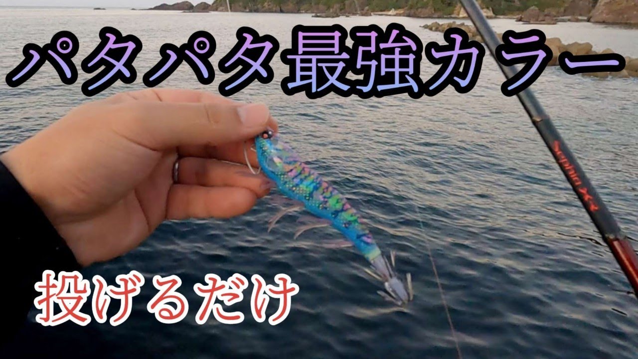 シャクる必要なし！投げれば釣れる！パタパタ最強カラー実力解放！【エギング】