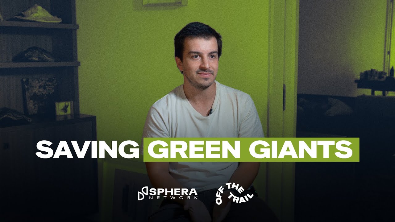 Saving Green Giants in the Forests of Lousada