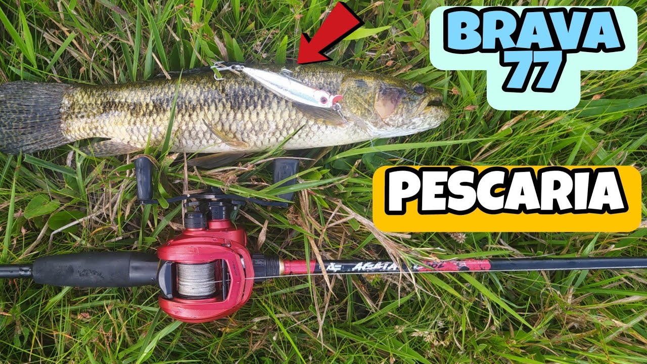 ISCA BRAVA 77 PEGA DEMAIS #fishing