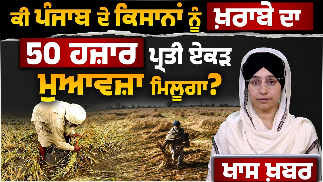 Punjab Govt. Orders Crop Survey, RS. 50,000 Compensation After Rain & Hail । CM Mann । THE KHALAS TV