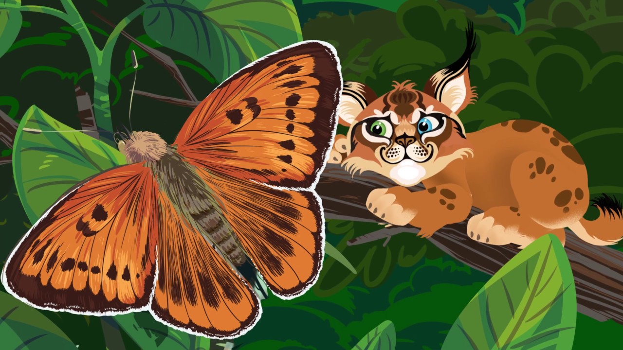 17 serija. Natura 2000. Saugomos gyvūnų rūšys.