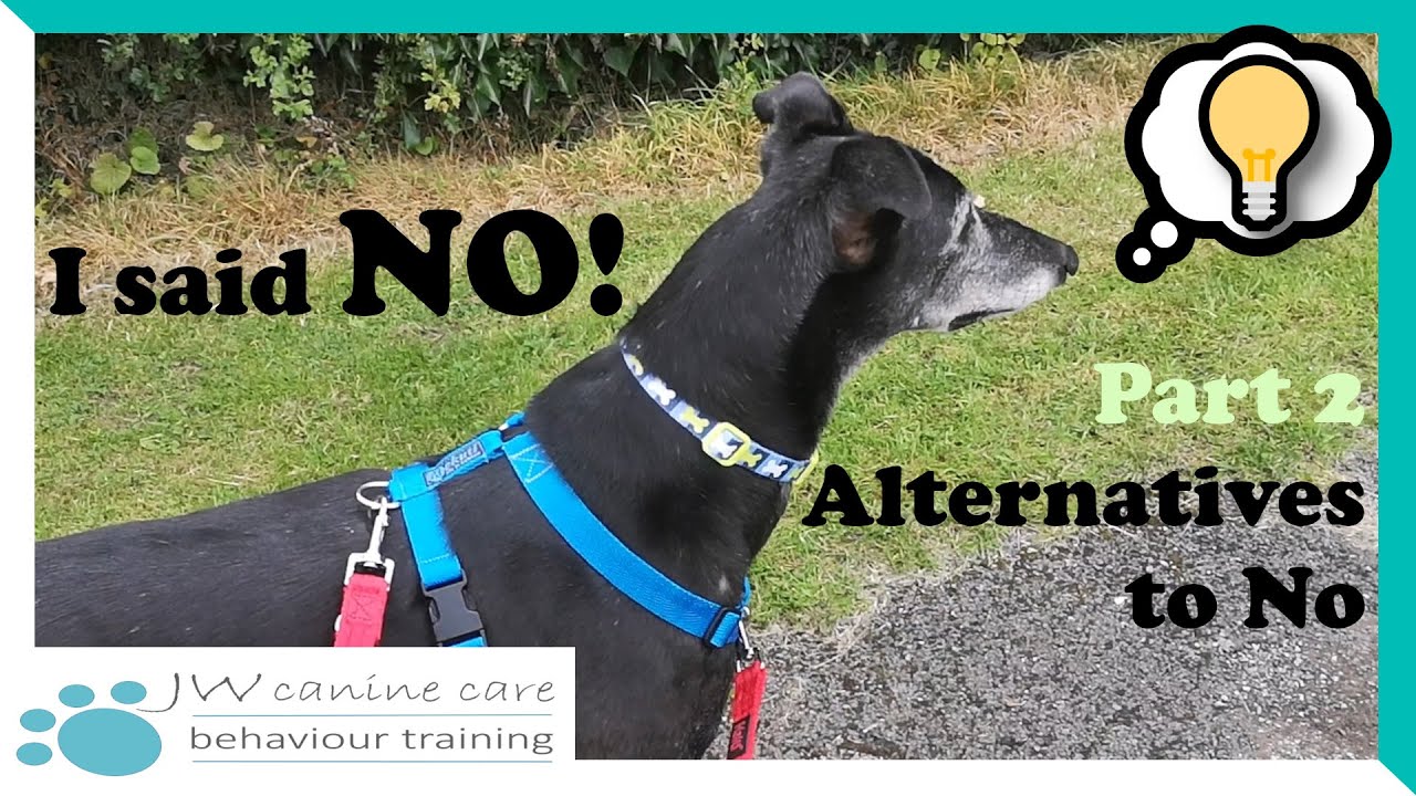 'A firm NO!' - Part 2:What are the alternatives?