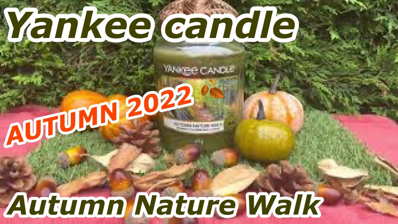 Yankee Candle Autumn 2022 🍂 Autumn Nature Walk Review & Chit Chat