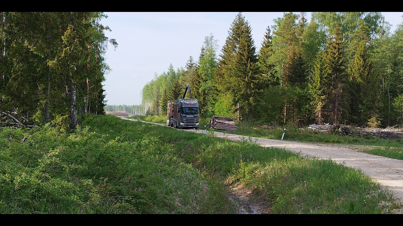 Quick last job of the day. Spruce logs loading/unloading.