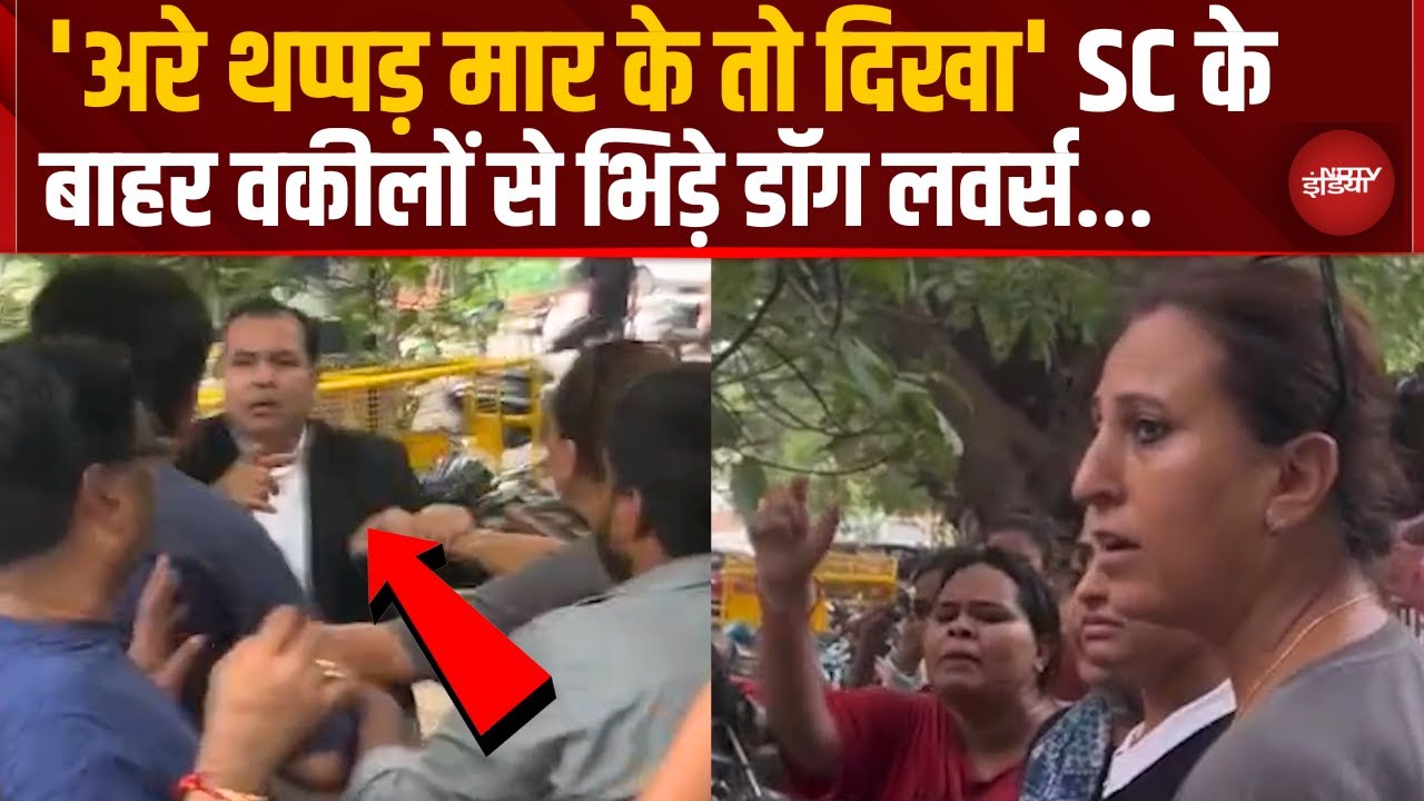 Supreme Court के बाहर 'महाभारत', कुत्तों के लिए वकीलों और Dog Lovers में चले लात-घूंसे | Viral Video