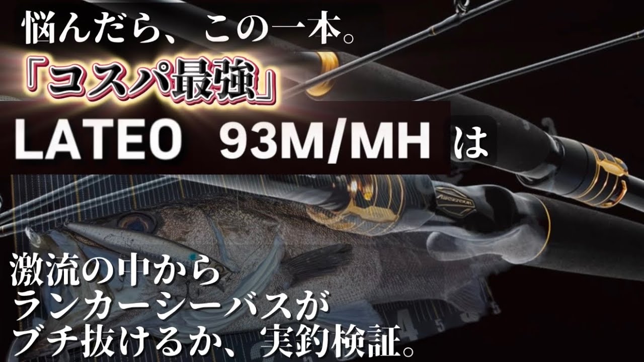 【コスパ最強ロッド】激流のランカーシーバス