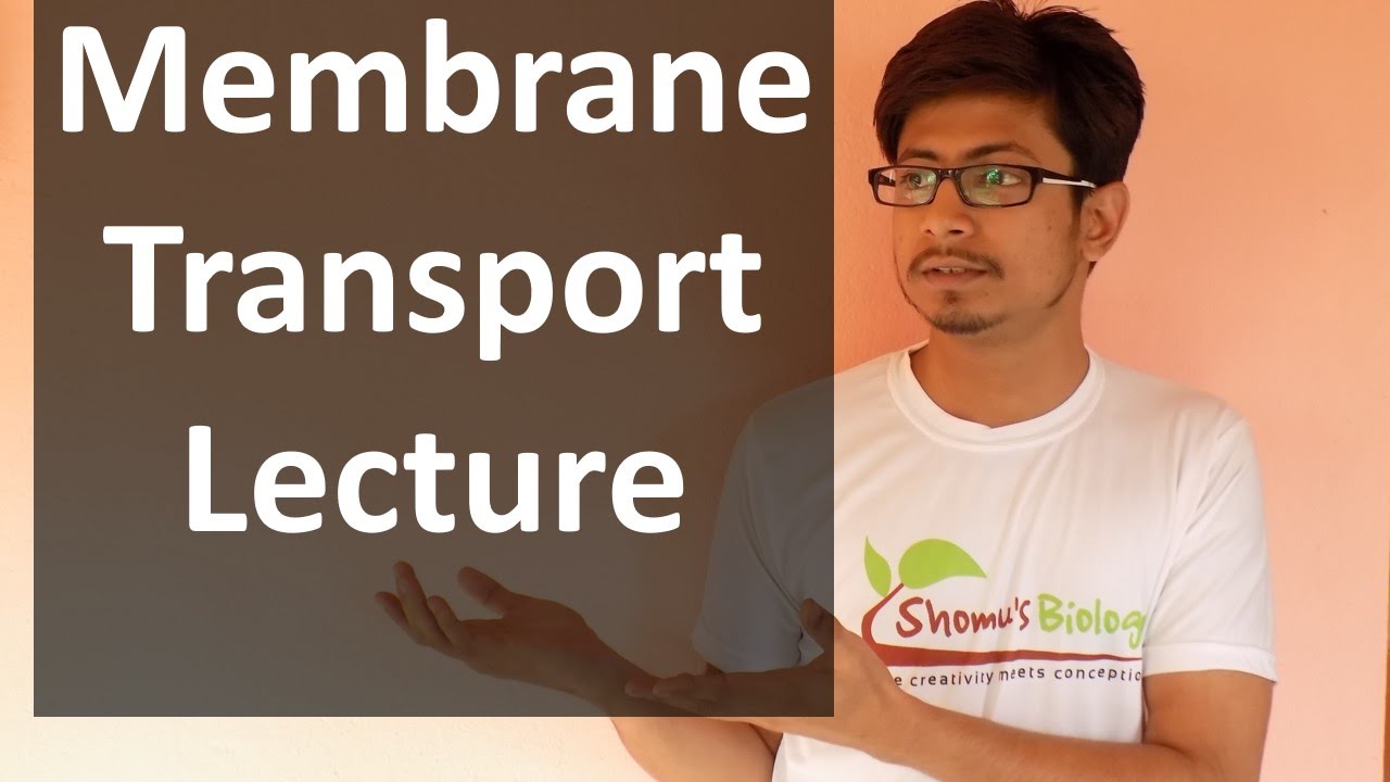 Membrane transport lecture | transport across the membrane