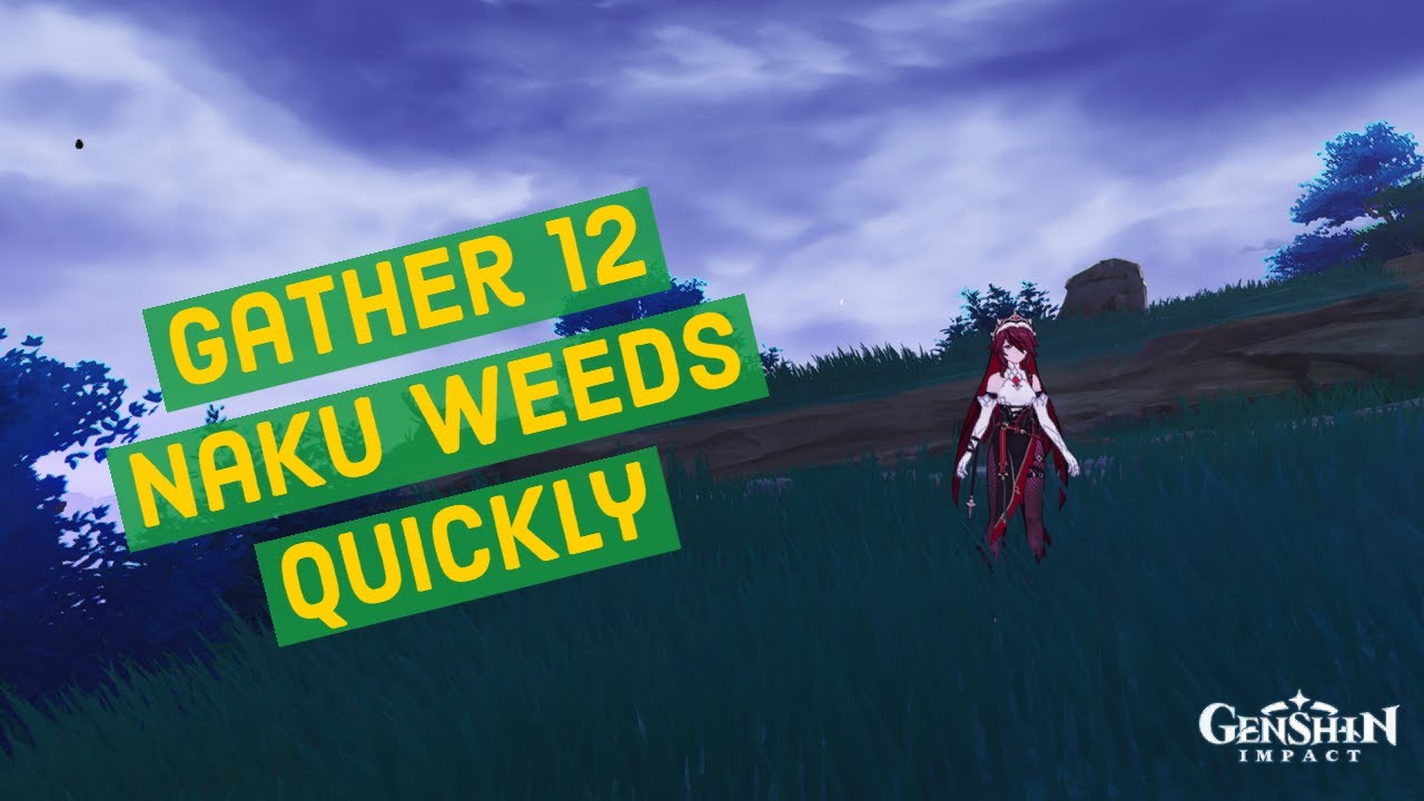 How to Get 12 Naku Weed Quickly In Genshin Impact _ 12 Naku Weed Location