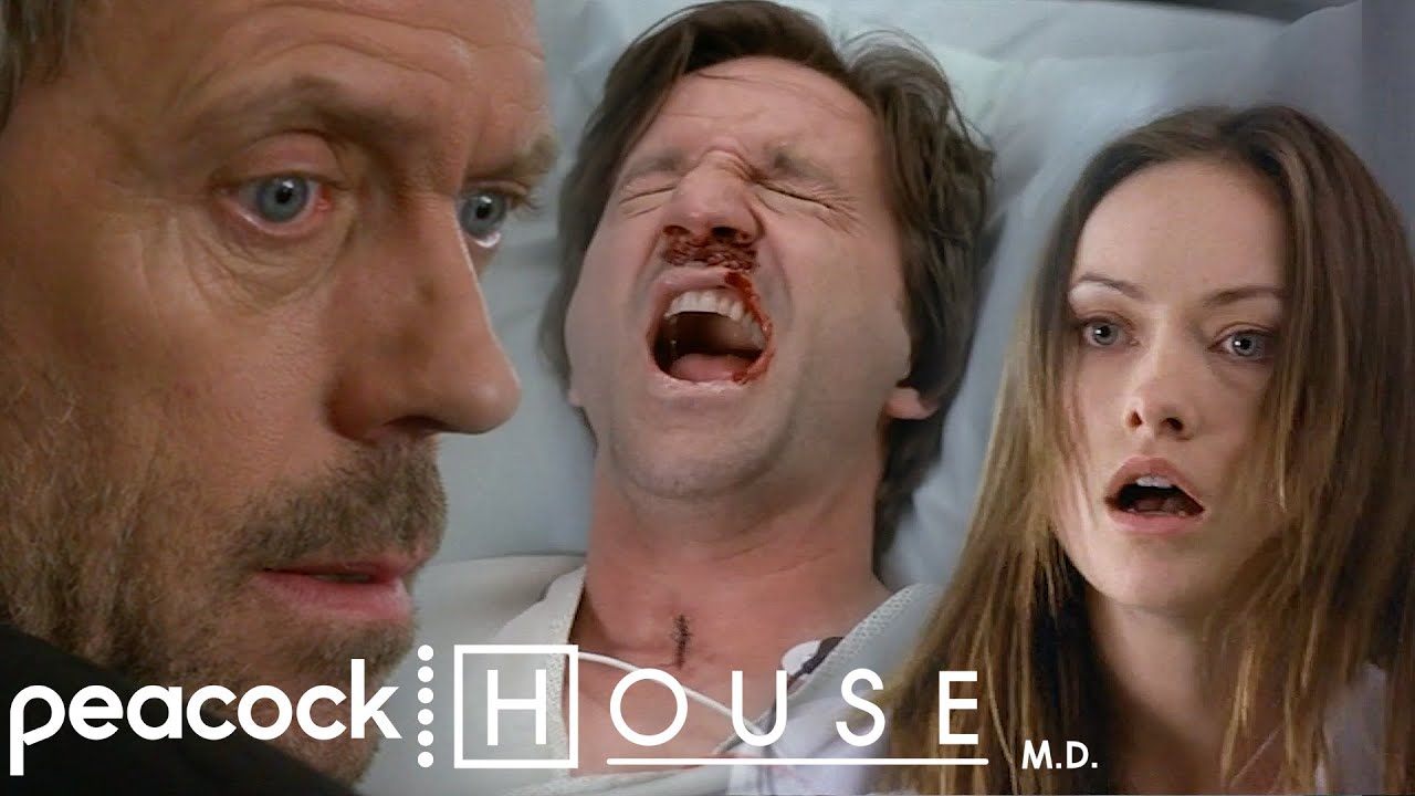 How Failed Artists Make Money | House M.D.