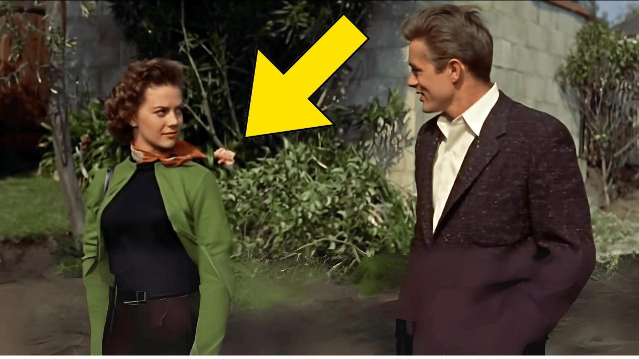 Rebel Without a Cause (1955) &ndash; 20 Weird Facts You Didn't Know