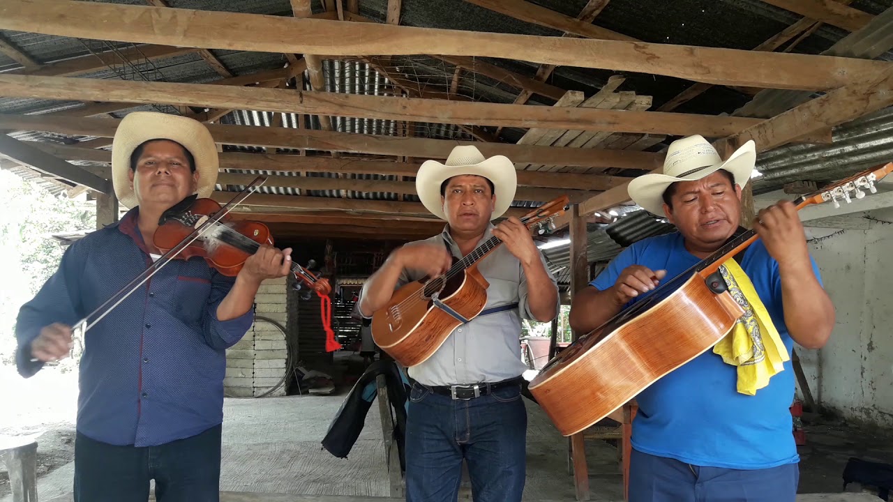 Trio la pagua de chicontepec veracruz.
