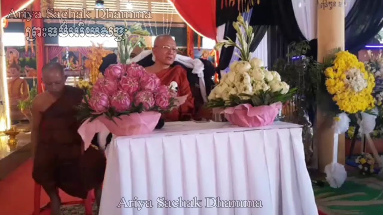 Animal suffering | Preah Moha Vimal Dhamma Pin Sem Sereysovano