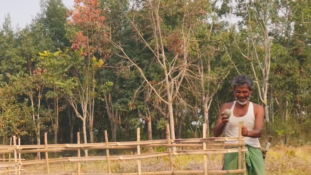 School Visit.      #schoolvisit #agroforestry #youtube #nature 