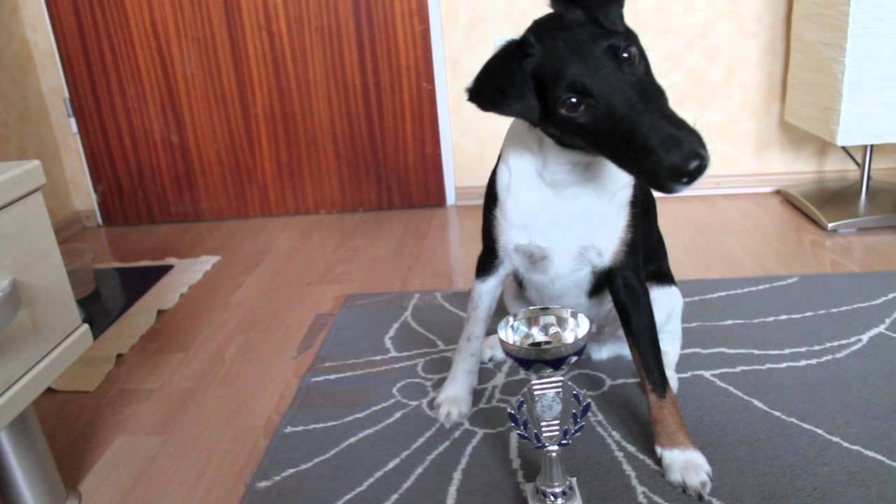 tamee tricks 2 -continuation-