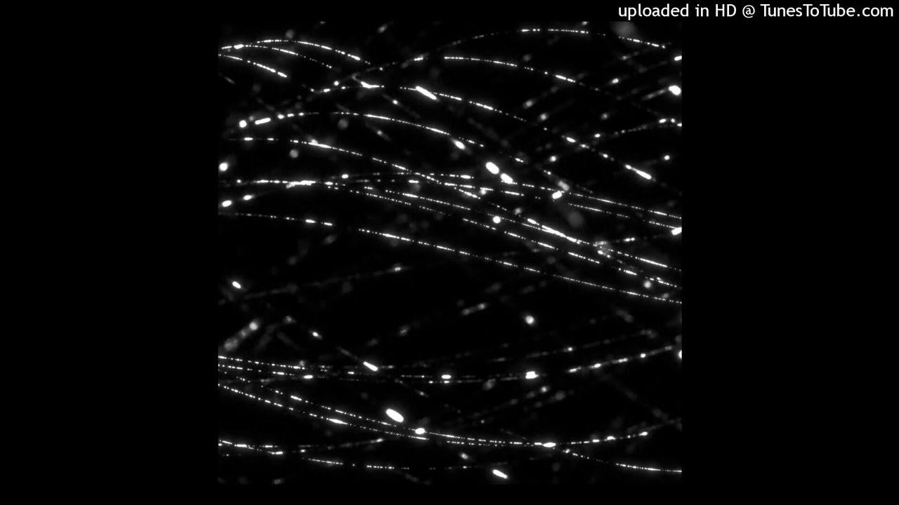 [free for profit] lancey foux + redda + lovemusic type beat 