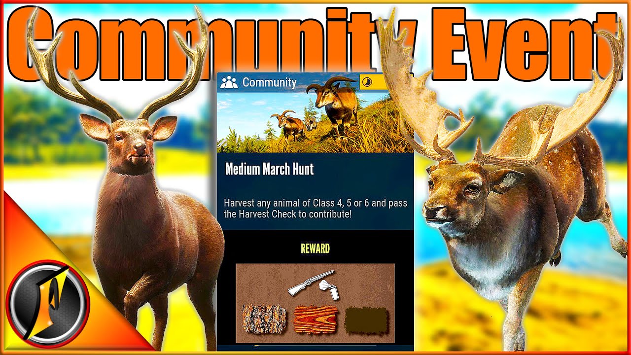 Harvest Medium Game for REWARDS! | 1st Ever Community Challenge! | Call of the Wild