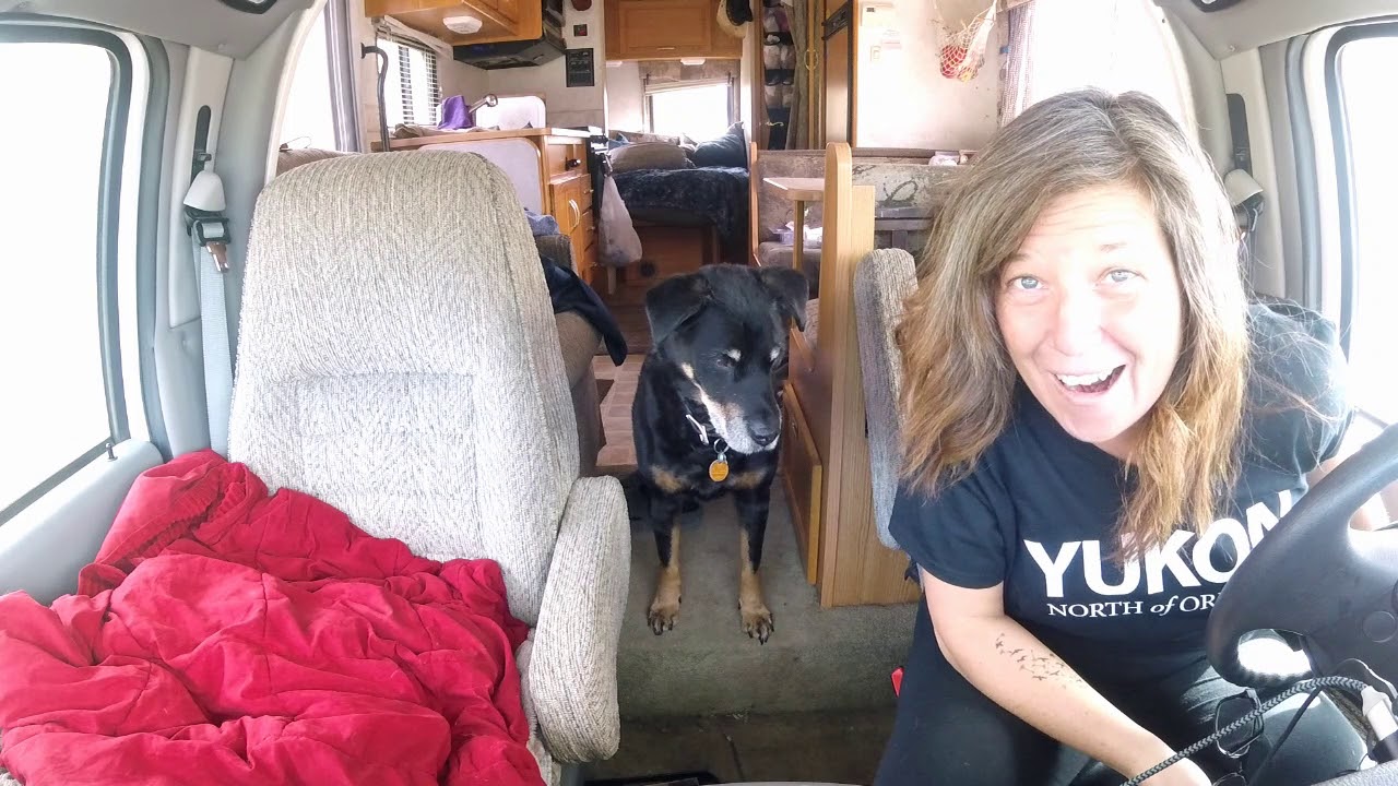 Alaska Road Trip:  A Grizzly Bear and a Crash...