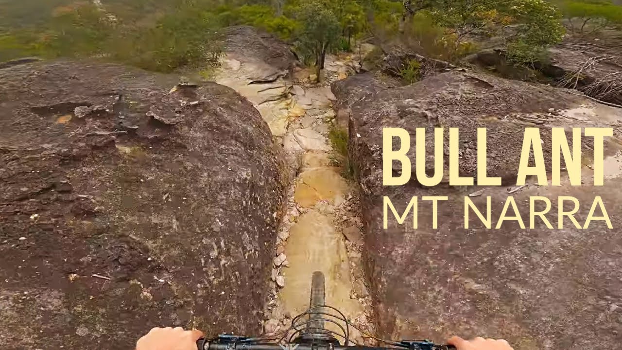 Northern Beaches Tech MTB Trail | Bull Ant at Mt Narra [4K]