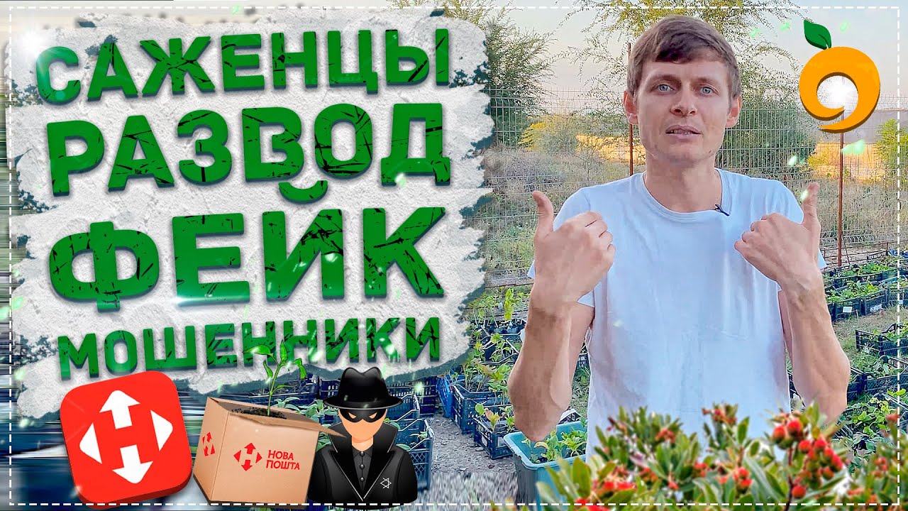 САЖЕНЦЫ - РАЗВОД, ФЕЙК, МОШЕННИКИ! | Распаковка и разоблачение с 