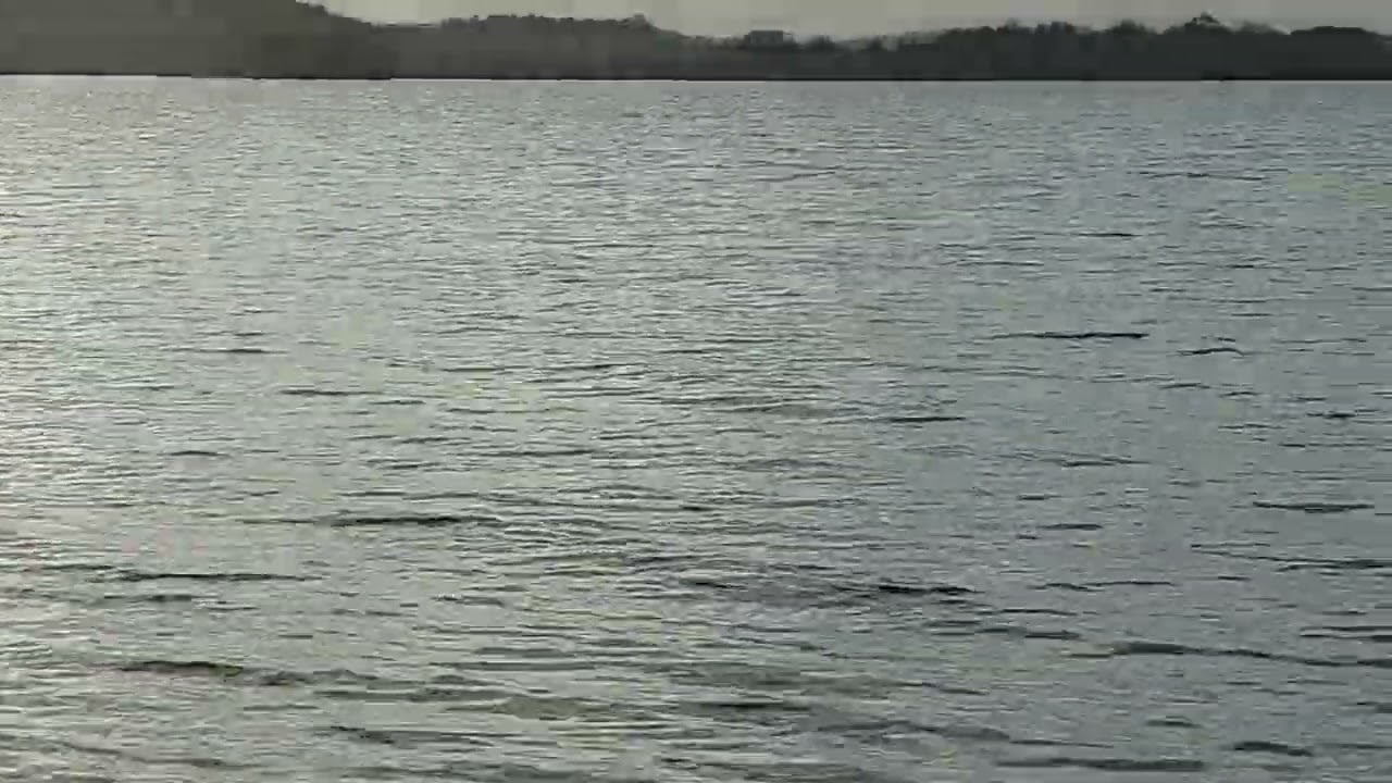 parsteinsee