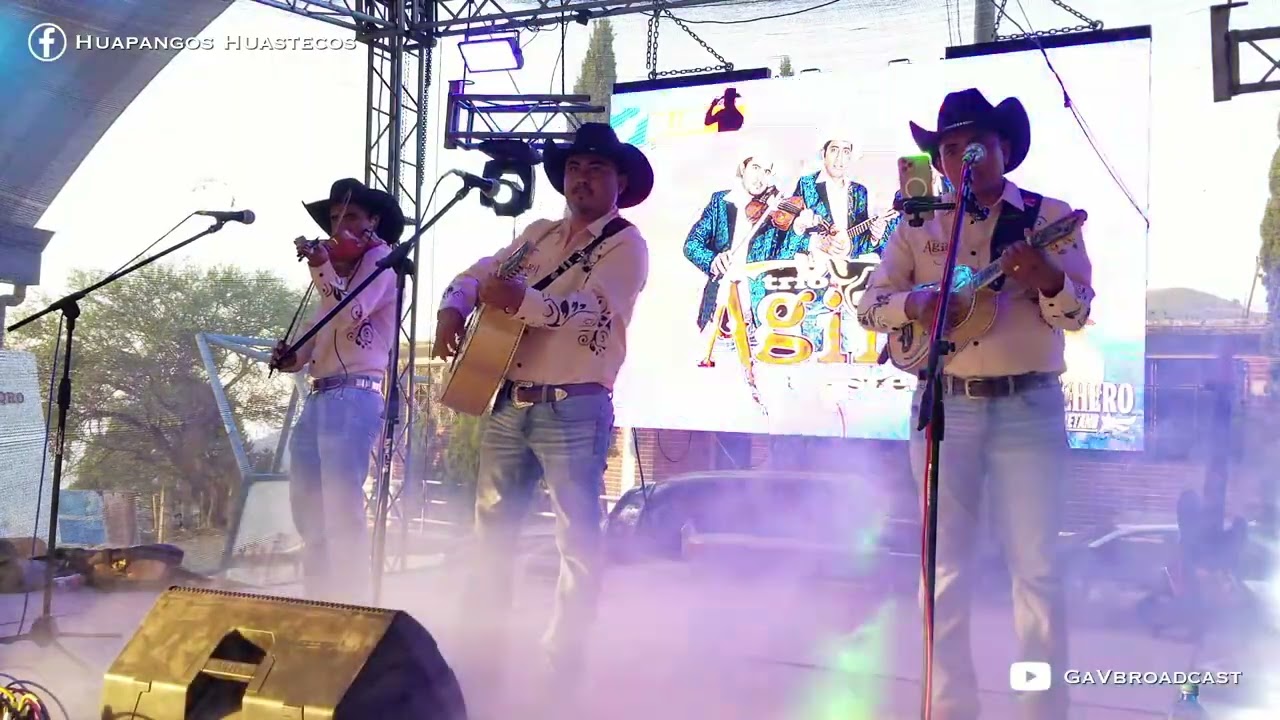 Trío Ágil Huasteco - El Enfermo