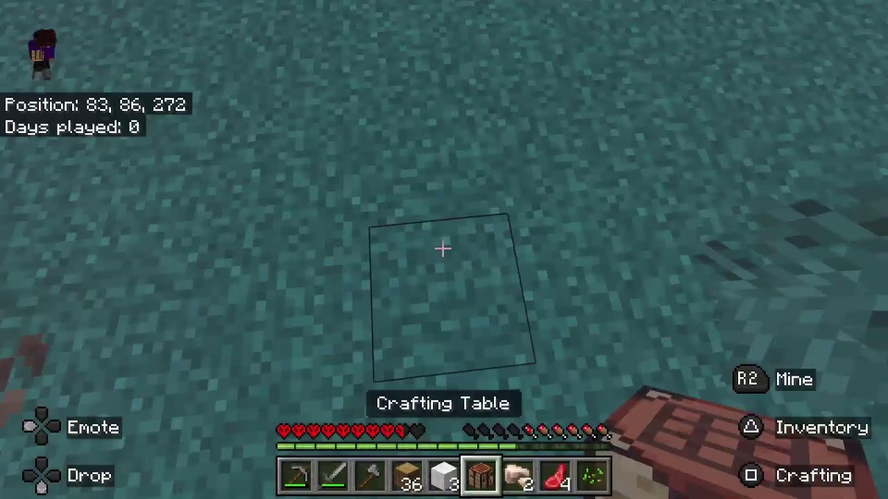 MINECRAFT