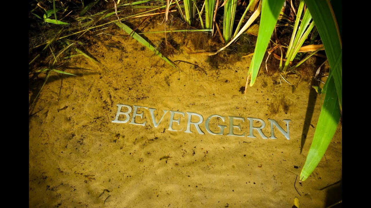 Bevergerner Impressionen 2017 -