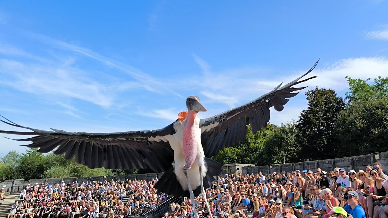Parc des Oiseaux en Dombes dans l'Ain.