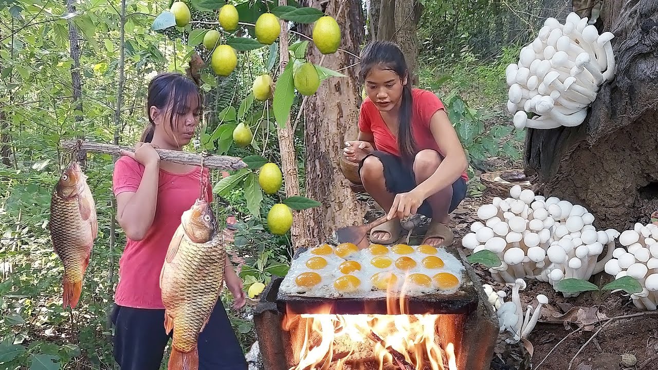 Survival skills: Egg grilled on the rock for jungle food, Pick pear fruit and Cooking big fish egg