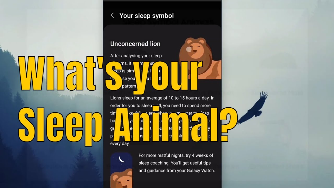How to activate Sleep Coach on Samsung Galaxy Watch 5 | Sleep Animals