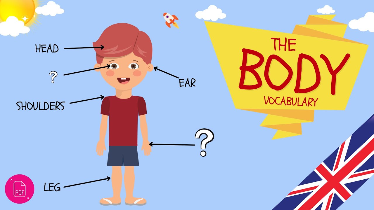 Body Parts ESL English Vocabulary A1