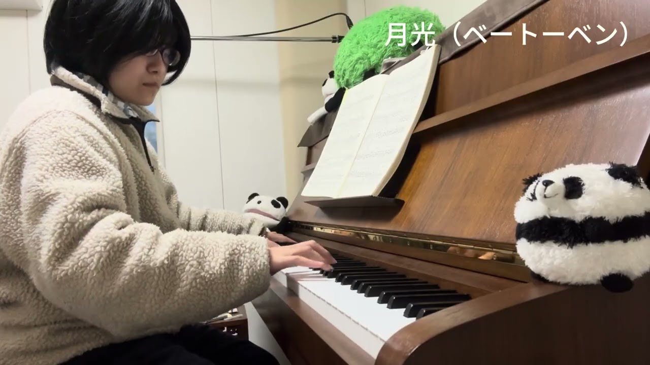 【ピアノ】月光　第一楽章（ベートーヴェン）　弾いてみた！
