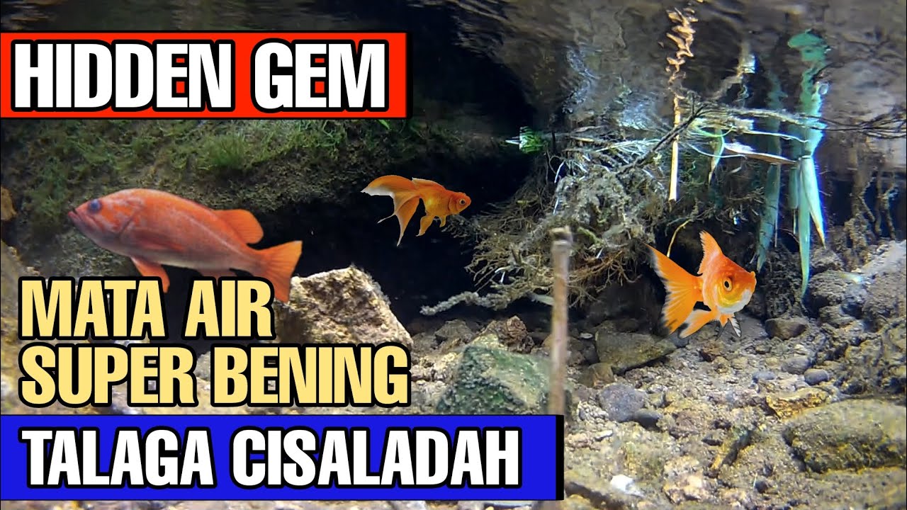 TALAGA CISALADAH MATA AIR TERSEMBUNYI DI BANDUNG BARAT