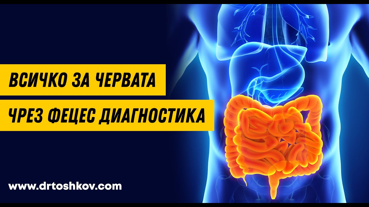 Всичко за червата чрез Фецес Диагностика