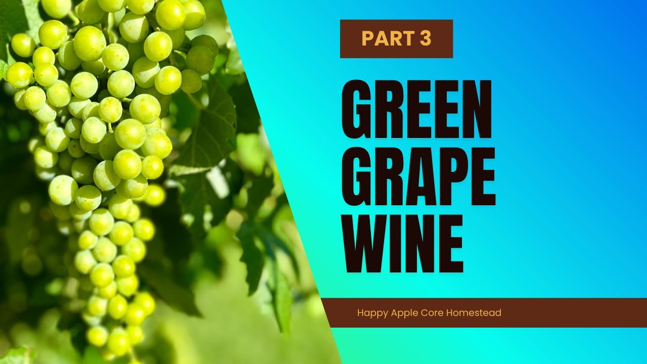 Green Grape Wine | Himrod | Part 3