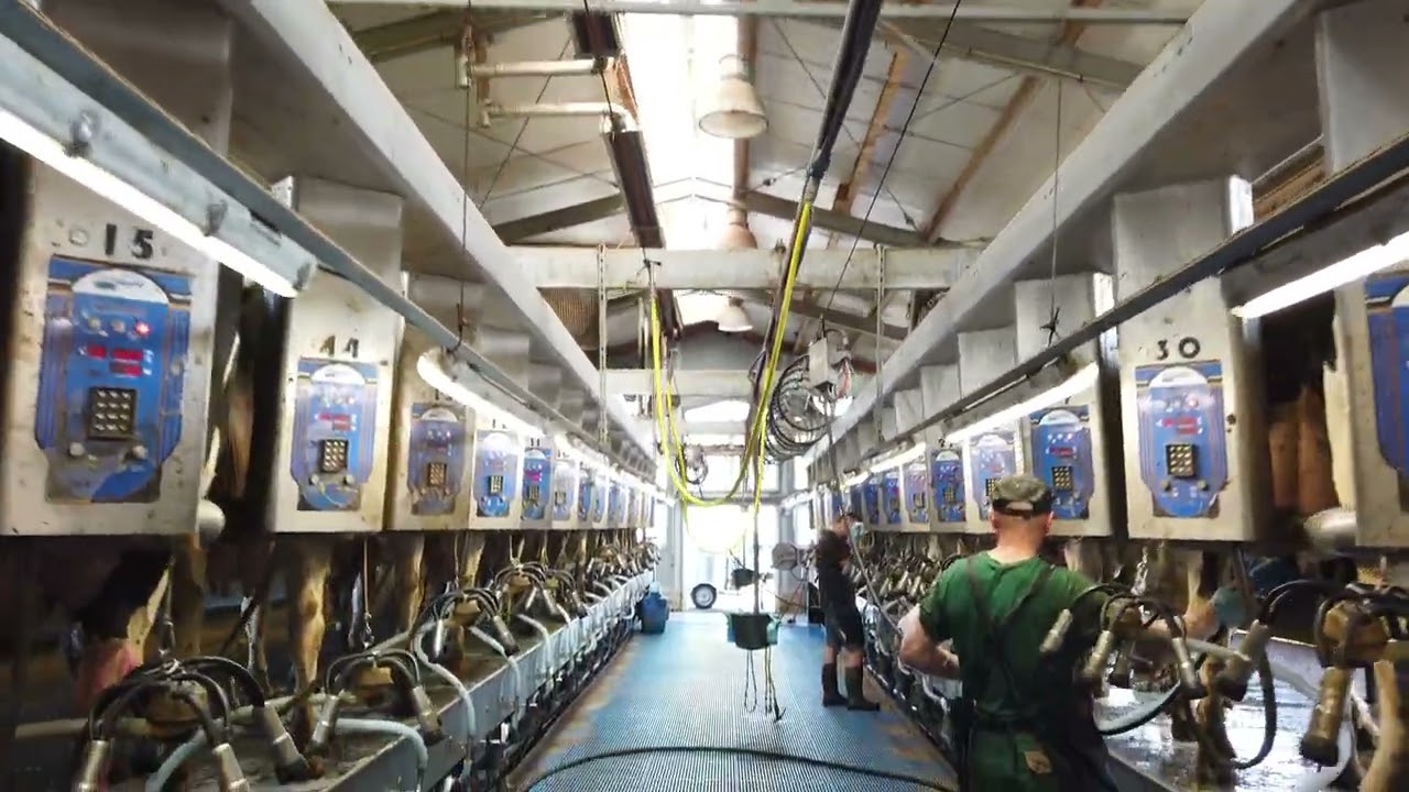 Benninghoff Milchenergie in Bevern