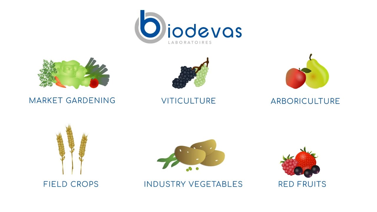 Presentation of plant division - Biodevas Laboratoires