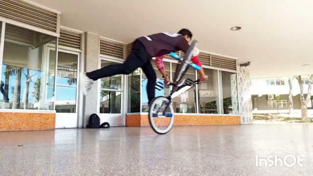 Freestyler BMX old school / Hoffman Bikes
