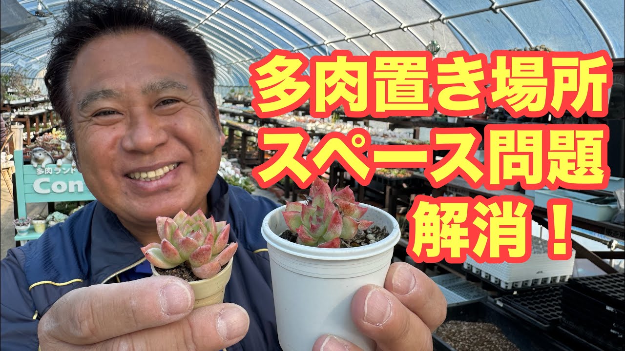 多肉置き場所　スペース問題解消！