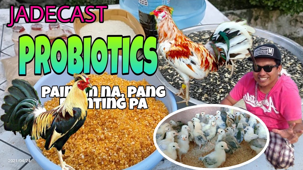 PROBIOTICS NA,  POINTING GRAINS PA... MY VERSION OF PROBIOTICS...