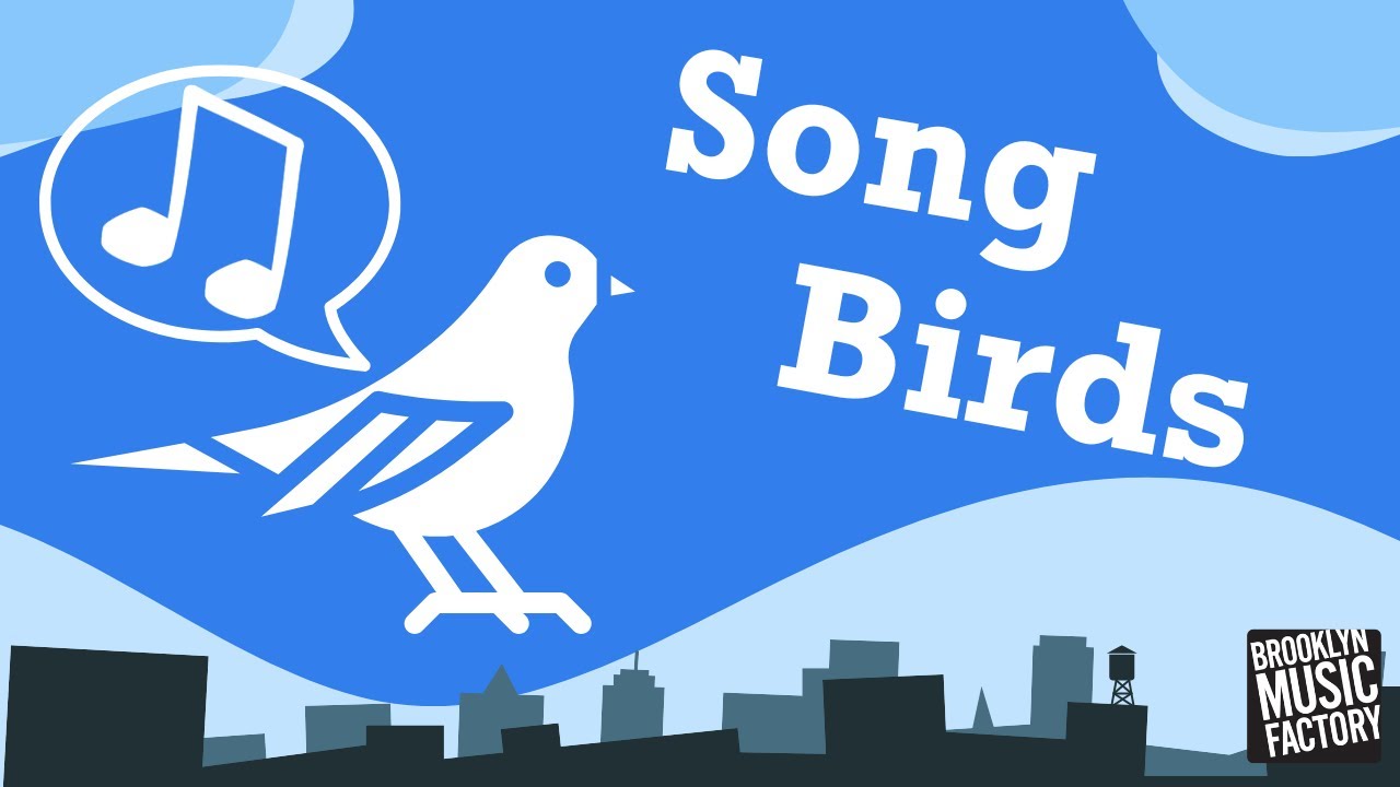 BMFConnect Game: Song Birds - Level 3