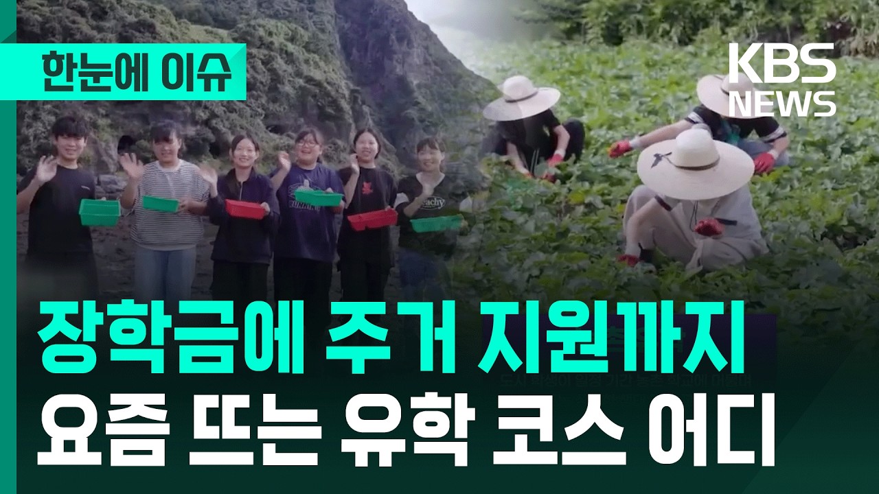 [한눈에 이슈] 장학금에 주거 지원까지&hellip;요즘 뜨는 유학 코스 어디 / KBS 2026.02.09.