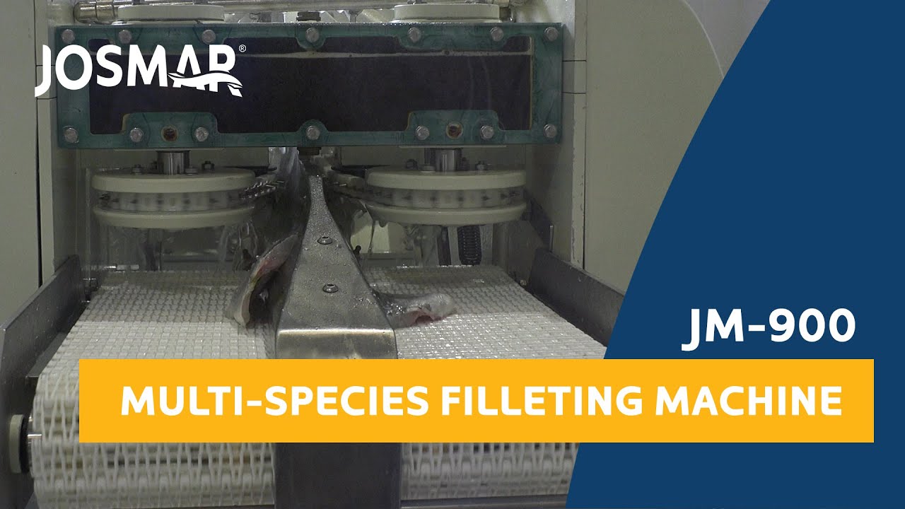 JOSMAR JM-900 Filleting machine