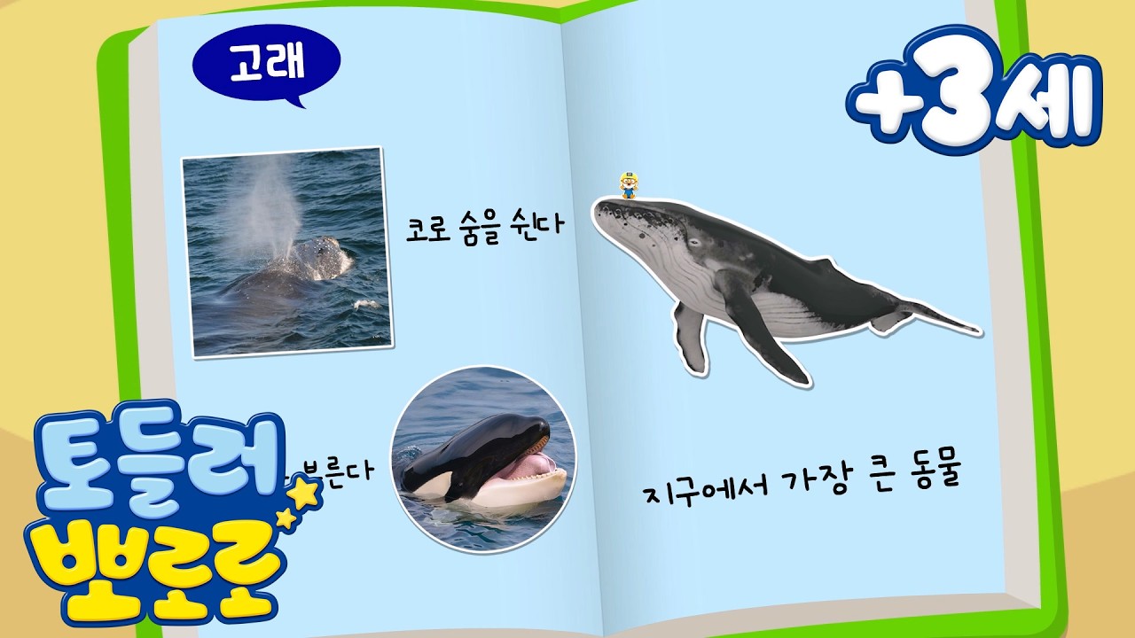 토들러 뽀로로 (+3세) | 뽀로로 자연 도감 | 고래의 특징을 배워요 | 유아 학습 | 자연 관찰 | 뽀로로 학습
