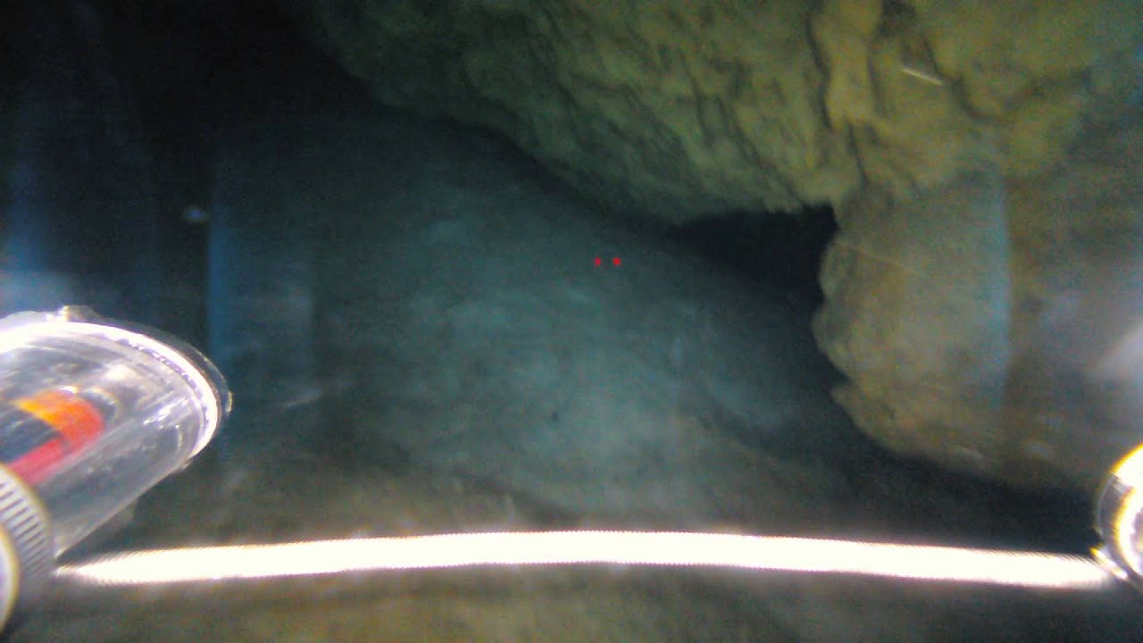 OpenROV exploring an unknown cave in Tulum Mexico