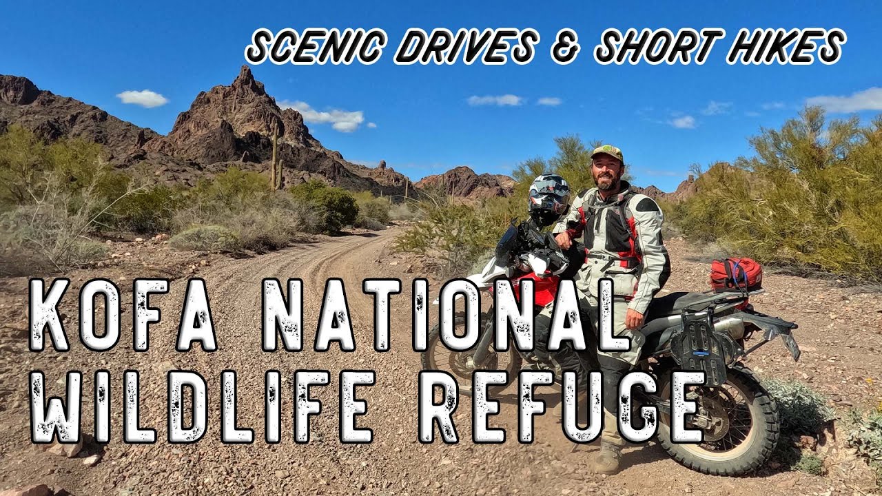 Exploring Kofa National Wildlife Refuge - Scenic drives and short hikes! - Dual sport adventure