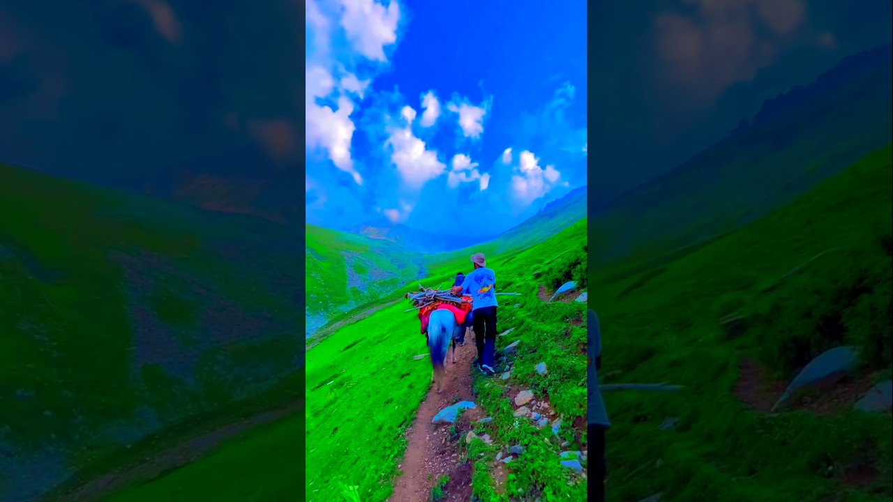 🤍#solotravelindia #travel